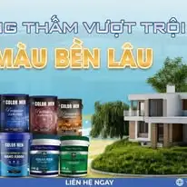 Sơn cao cấp color men